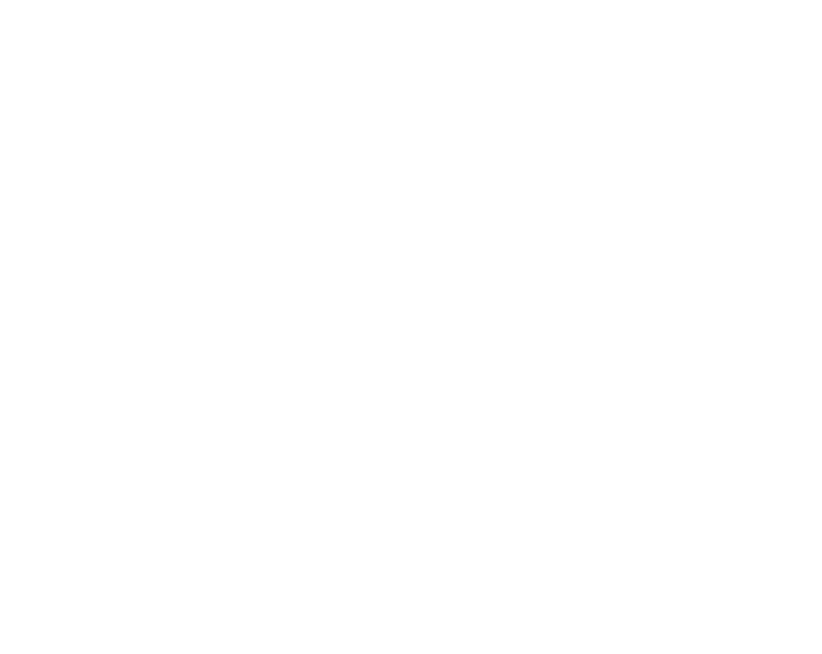 Webmerx-Ecommerce Platform